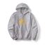 Picture of Grey Arches Hoodie