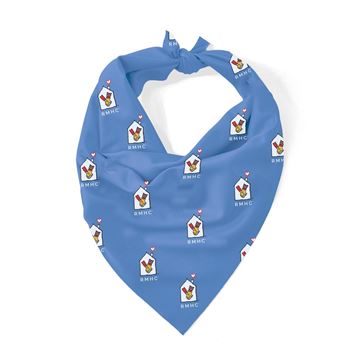 Picture of RMHC Bandana