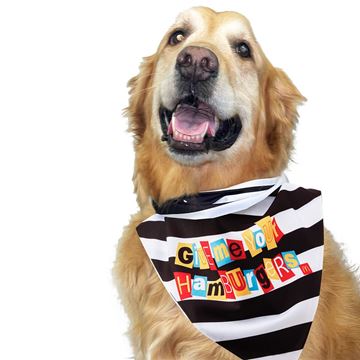 Picture of Hamburglar Ransom Note Bandana