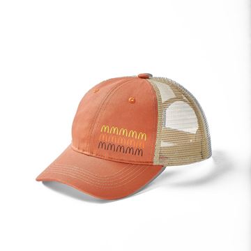 Picture of Repeating Retro Arches Brown Cap