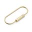 Picture of Arches Oval Keyring & Carabiner